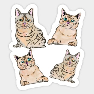 Bengal cat breed pattern Sticker